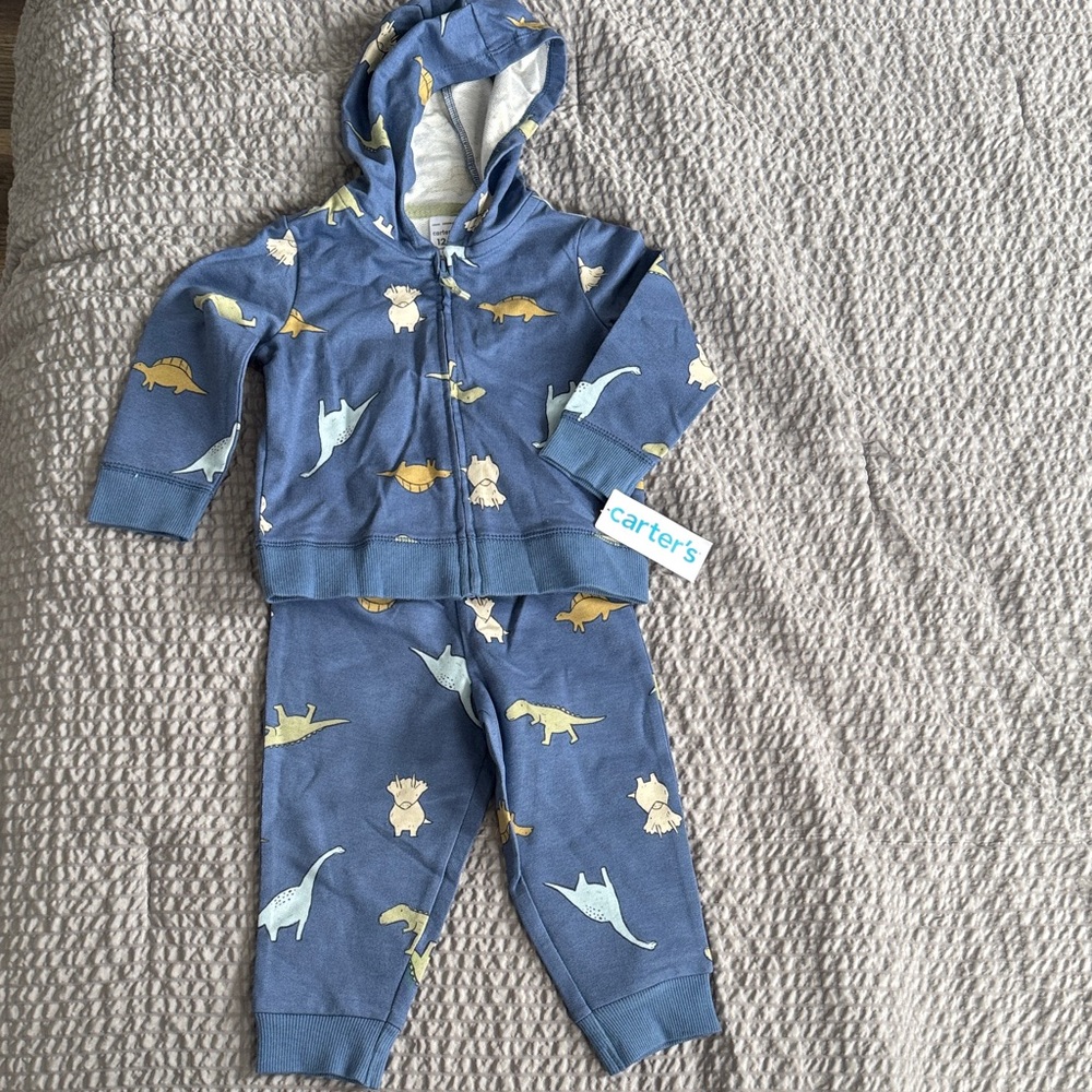 ⚠️Carter's Hoodie and Pants Set⚠️ - Picture 1 of 1
